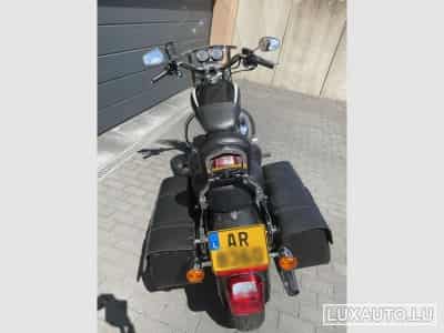 Harley-Davidson Roadster 1200 (2008) - Foto 5