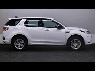 Land-Rover Discovery Sport D165 S AWD AUTO (2025) - Foto 3