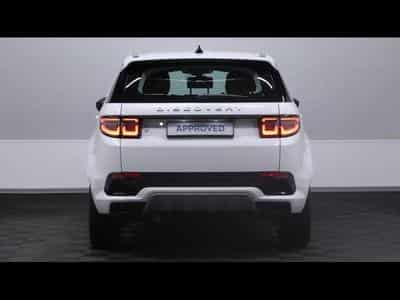 Land-Rover Discovery Sport D165 S AWD AUTO (2025) - Foto 5