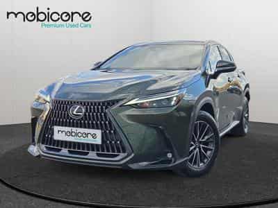 Lexus NX 350h (2022) - Foto 1