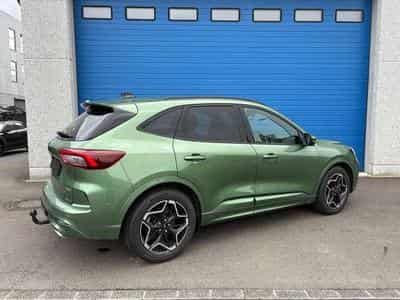 Ford Kuga Kuga 2.5 Duratec FHEV ST-LINE (2025) - Foto 3