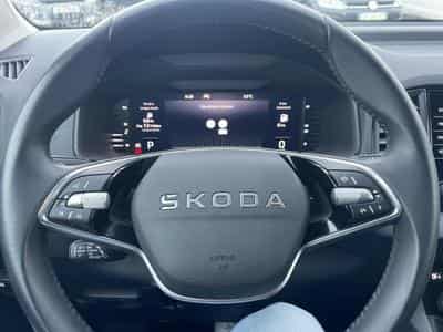 Skoda KAROQ 1.5 TSI 150 SELECTION DSG7 (2025) - Foto 13