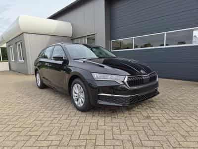Skoda Octavia Selection (2026) - Foto 5