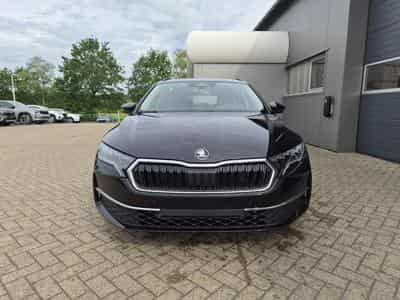 Skoda Octavia Selection (2026) - Foto 6