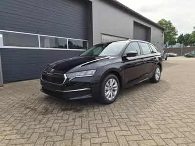 Skoda Octavia Selection (2026) - Foto 7