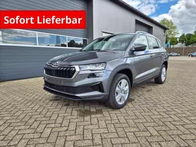 Skoda Karoq Selection (2026) - Foto 1