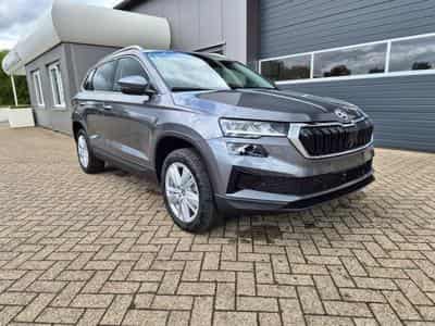 Skoda Karoq Selection (2026) - Foto 7