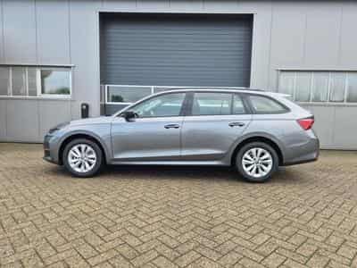 Skoda Octavia Selection (2026) - Foto 2