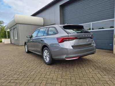 Skoda Octavia Selection (2026) - Foto 3
