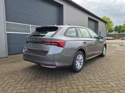 Skoda Octavia Selection (2026) - Foto 5