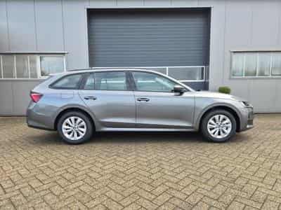 Skoda Octavia Selection (2026) - Foto 6