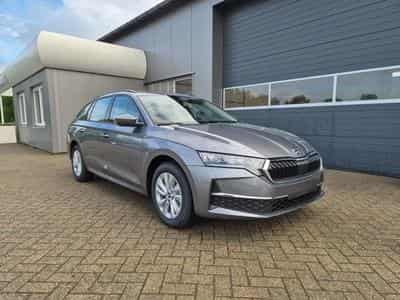 Skoda Octavia Selection (2026) - Foto 7