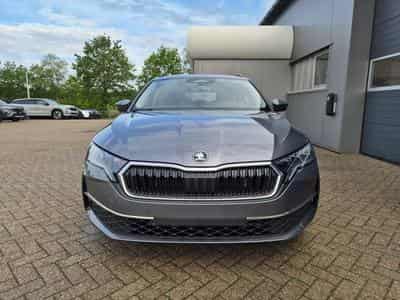 Skoda Octavia Selection (2026) - Foto 8