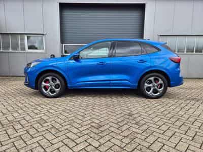 Ford Kuga ST-Line (2026) - Foto 2