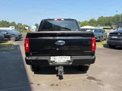 Ford F150 5.0 V8 BIOETHANOL XLT SPORT SUPERCREW (2025) - Foto 6