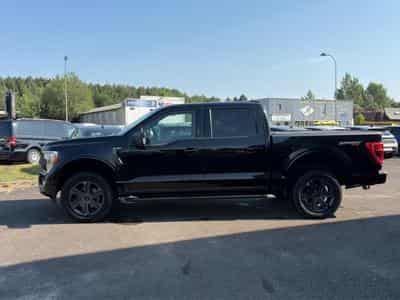 Ford F150 5.0 V8 BIOETHANOL XLT SPORT SUPERCREW (2025) - Foto 8
