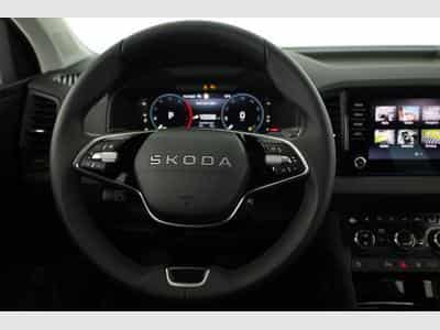 Skoda Karoq Selection (2026) - Foto 5