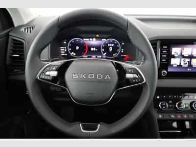 Skoda Karoq Selection (2026) - Foto 5