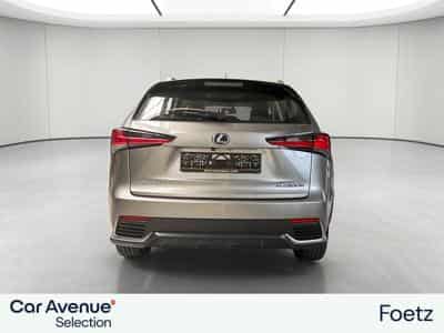 Lexus NX BUSINESS LINE (2018) - Foto 15