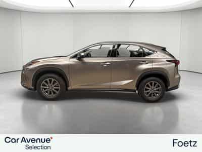 Lexus NX BUSINESS LINE (2018) - Foto 2