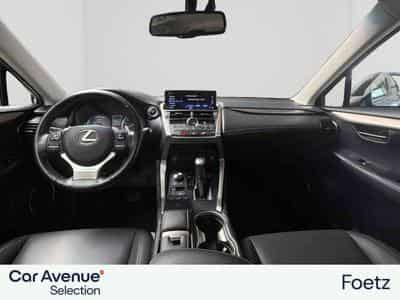 Lexus NX BUSINESS LINE (2018) - Foto 3