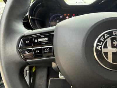 Alfa-Romeo Junior Speciale (2024) - Foto 11